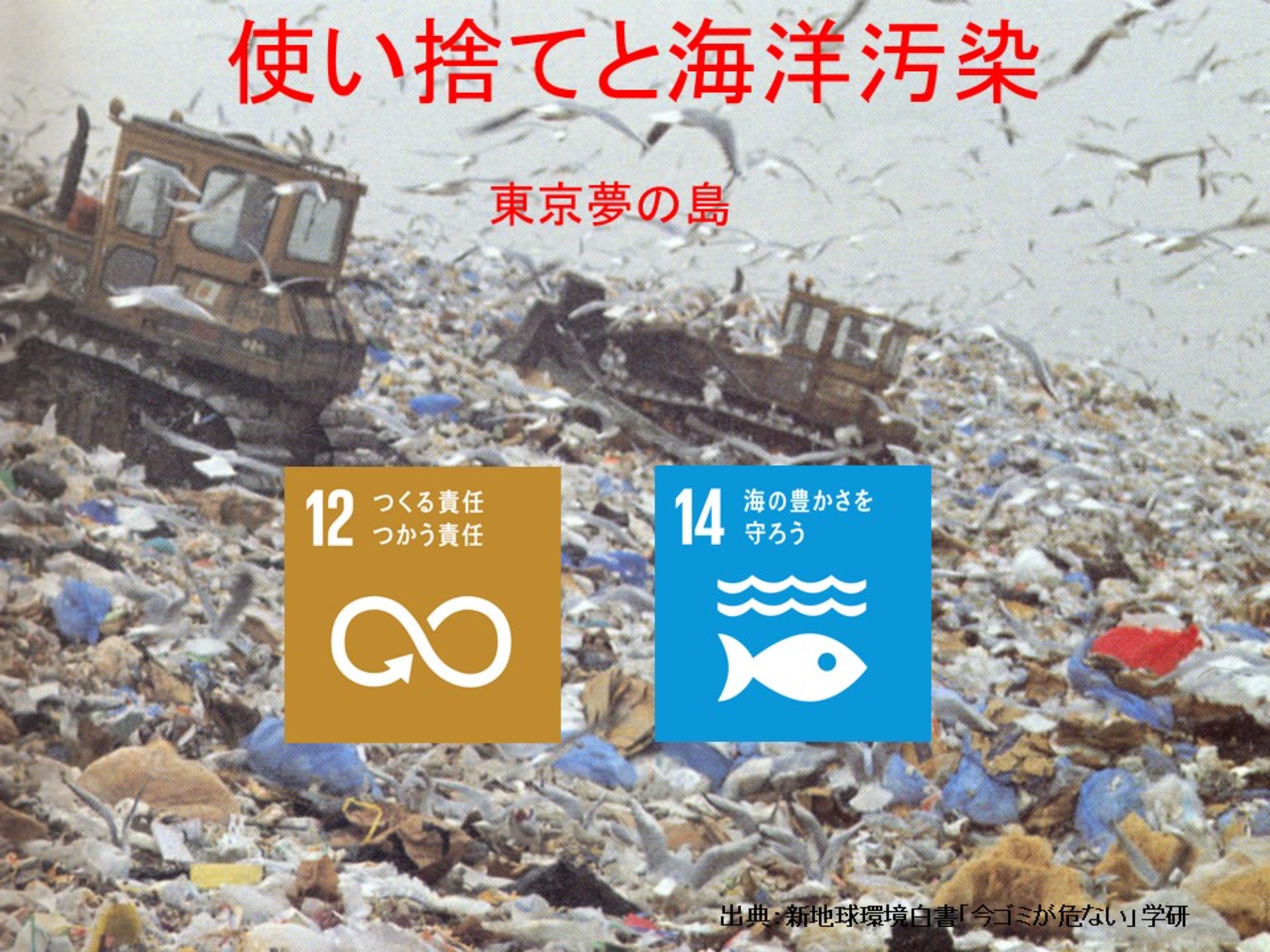 【SDGs入門講座】第2回　使い捨てと海洋汚染