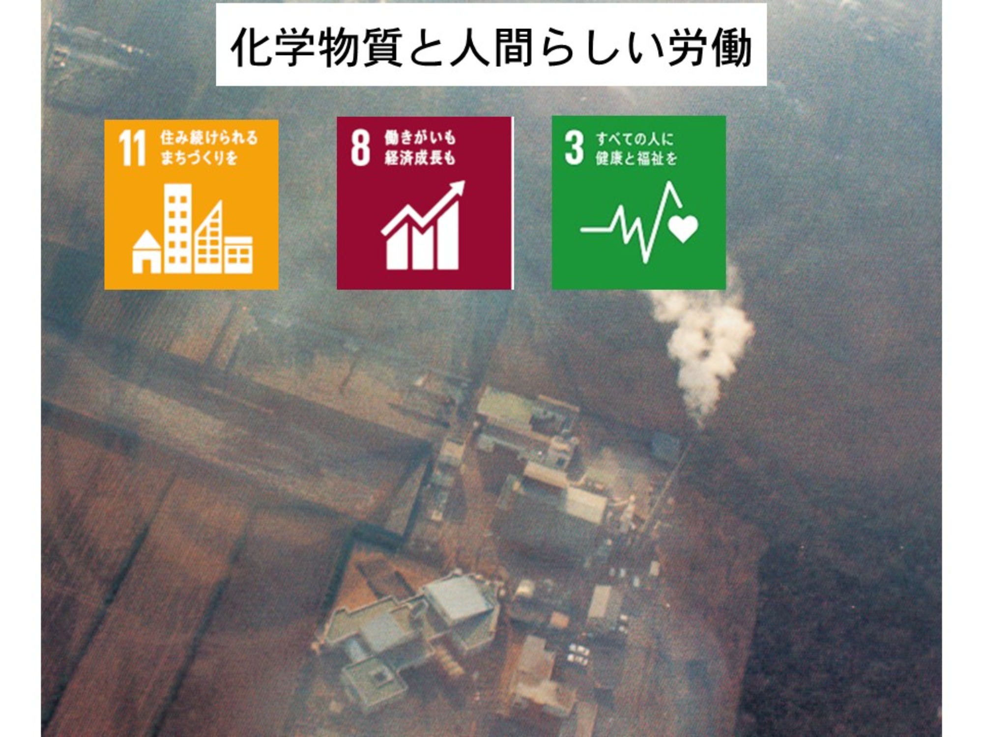 Sdgs入門講座 第4回 化学物質と人間らしい労働 次世代sdgs研究会 社会貢献活動 Sdgs促進に貢献するアクトコイン