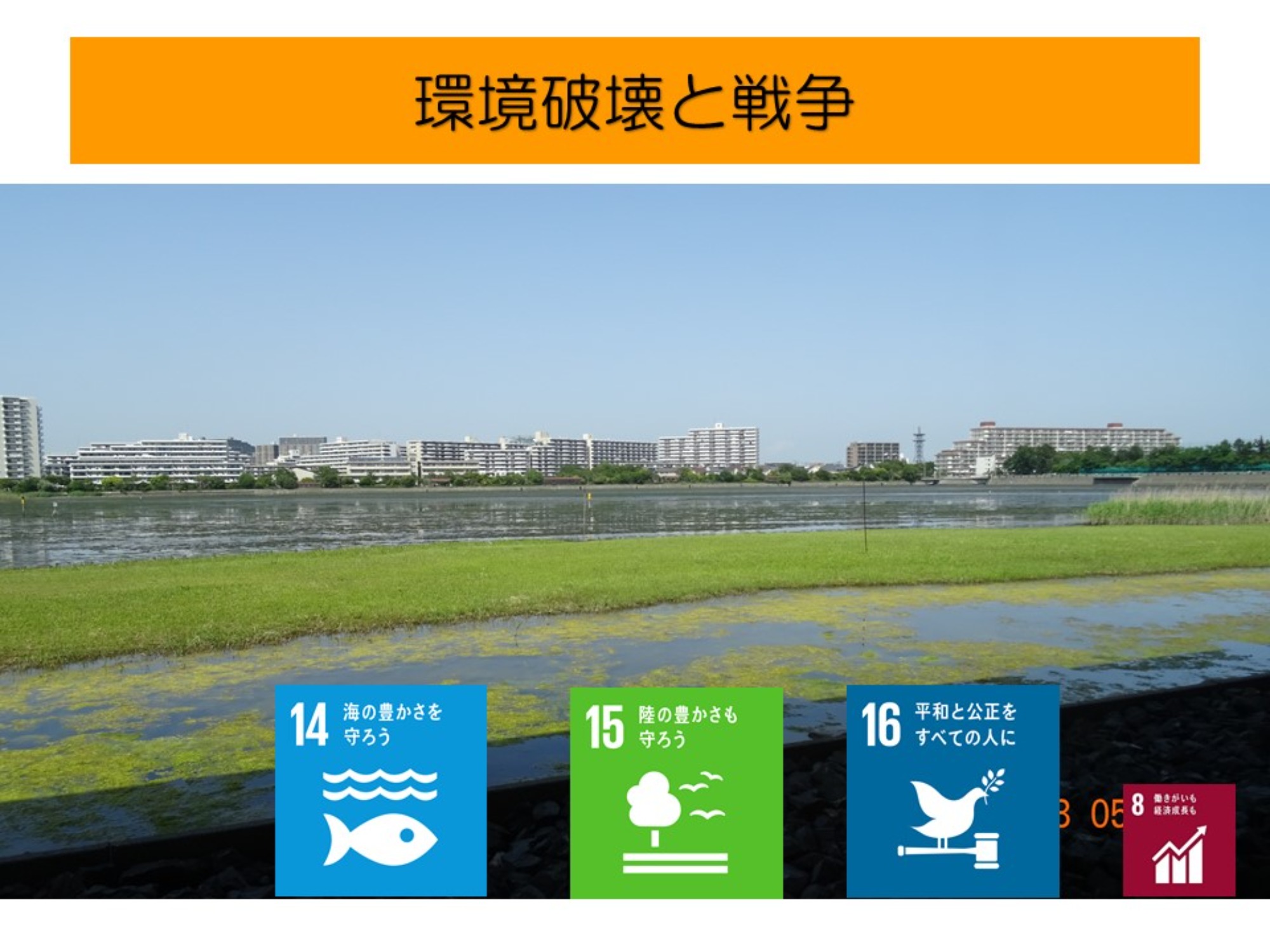 【SDGs入門講座】第5回　環境破壊と戦争


