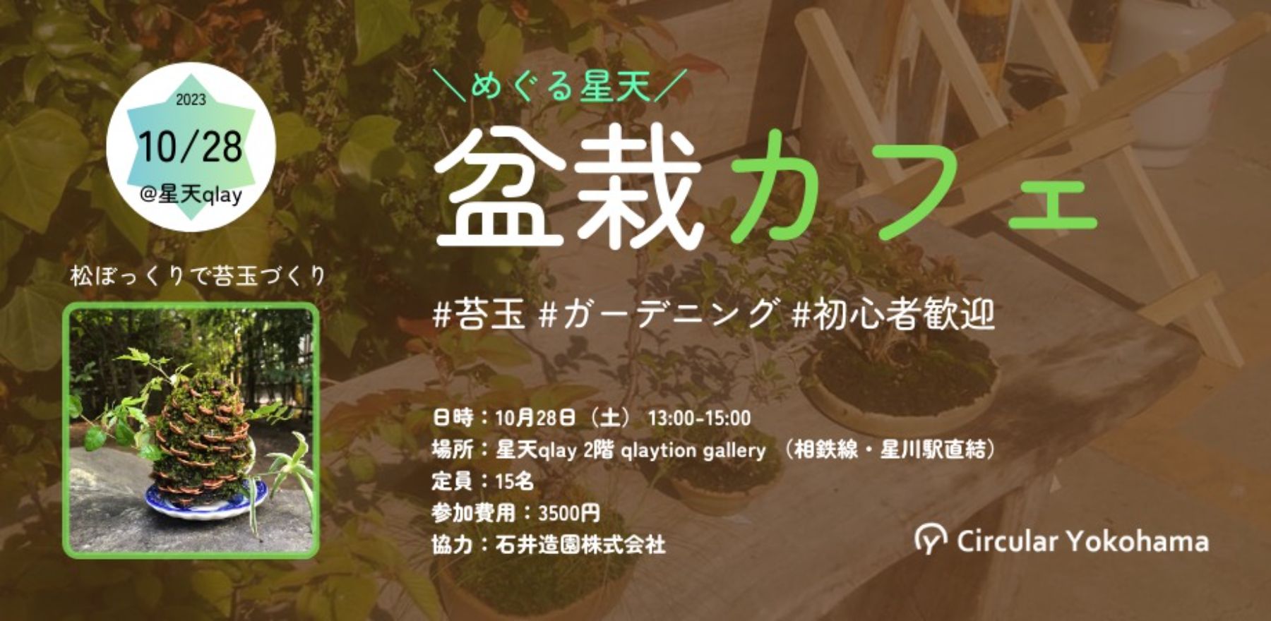 松ぼっくりを使って苔玉を手作りしてみよう！【盆栽カフェ】【Circular October 〜循環する10月〜】｜Circular  Yokohama｜社会貢献活動・SDGs促進に貢献するアクトコイン