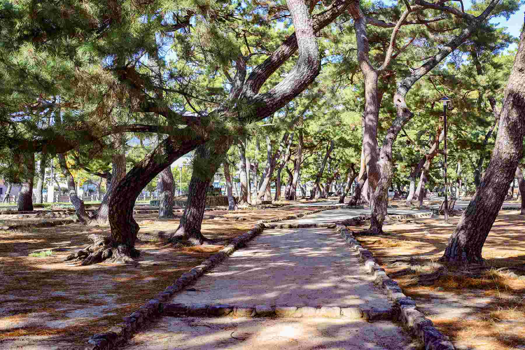 第2回 浜芦屋町自治会・平田町自治会 合同ラジオ体操開催 