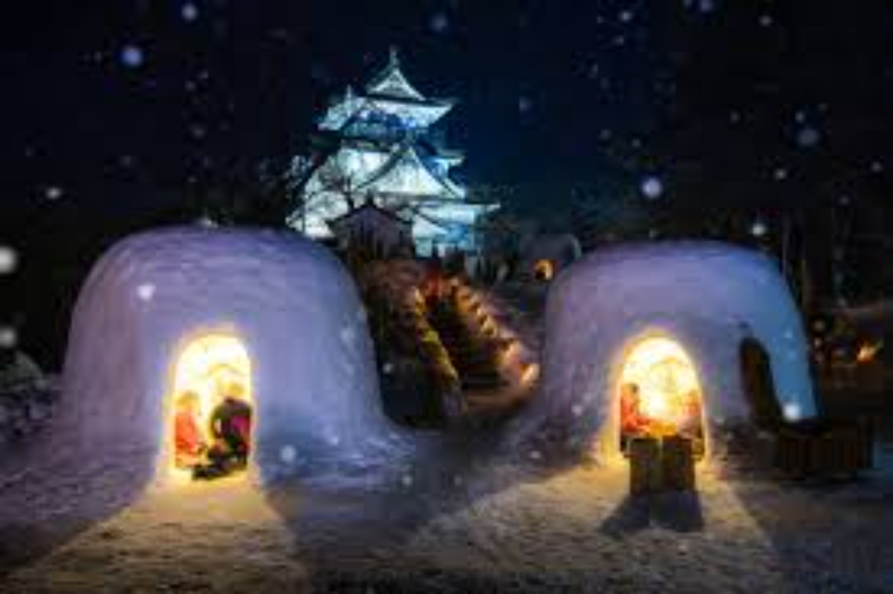 プロジェクト一覧｜ブロックチェーンで個人の社会貢献活動を可視化するオンラインサービス